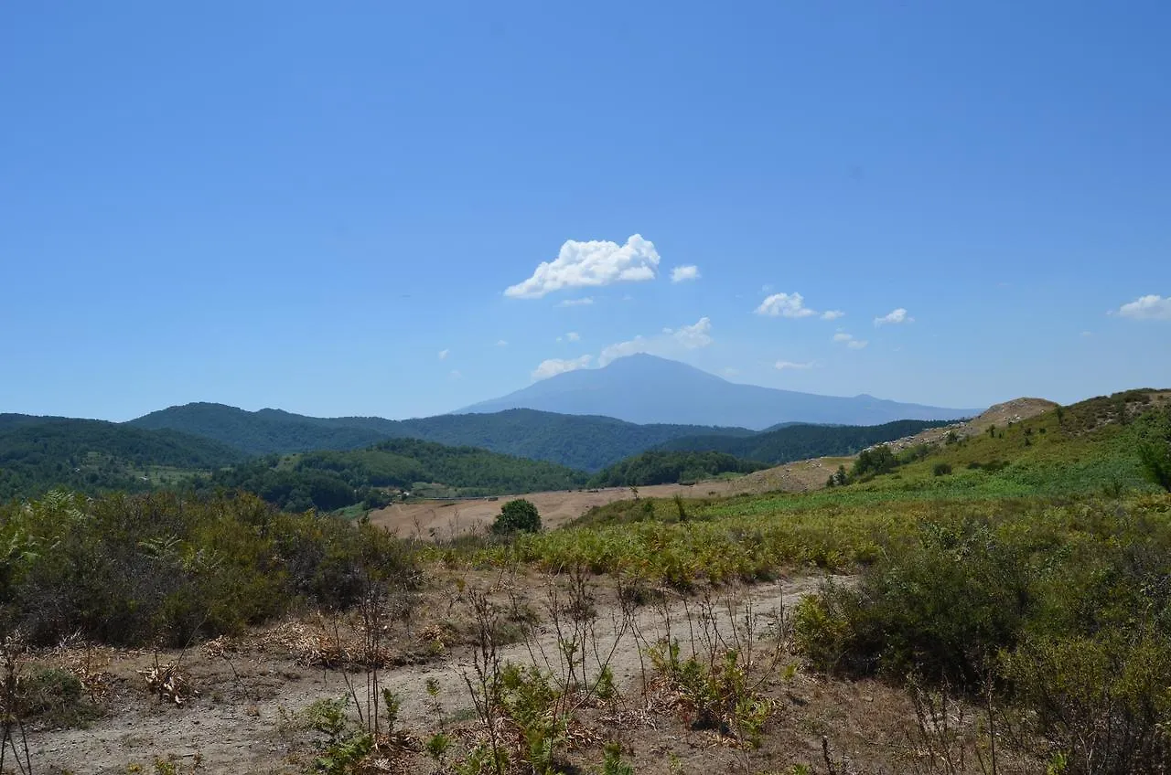 Enzo'S Homestay Gaggi